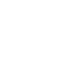 1500 Daily flights